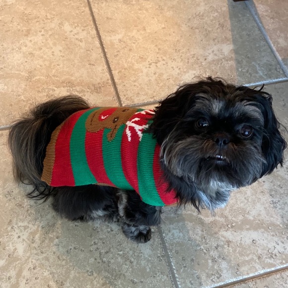 HI THERE💜I'M TILLIE - Picture 9 of 9